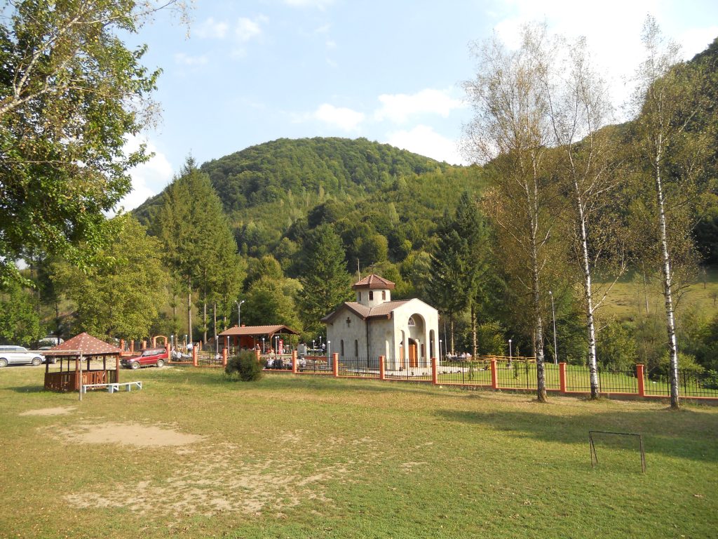 DSCN2353